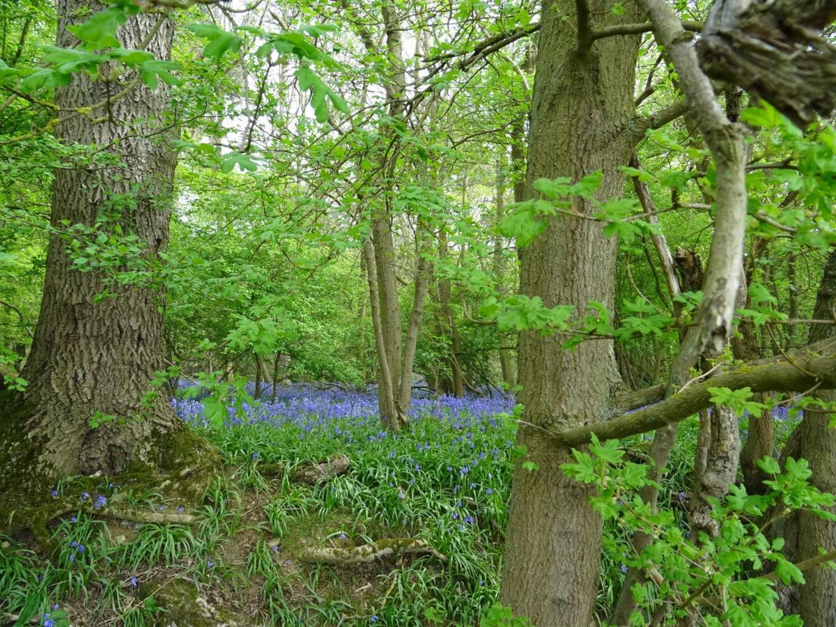 Appartamento Oakwrights Terling Esterno foto